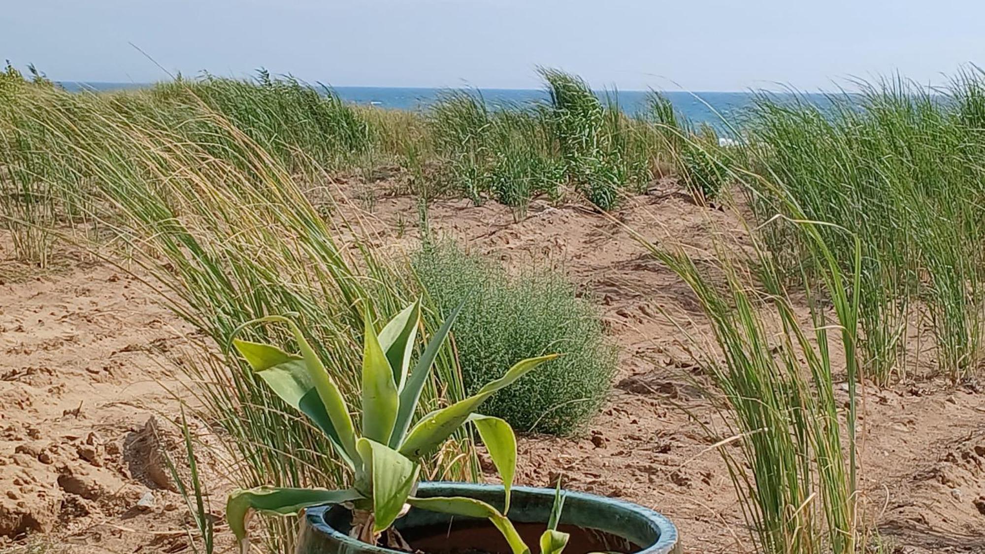 Fin Fiori Villa Menfi Luaran gambar