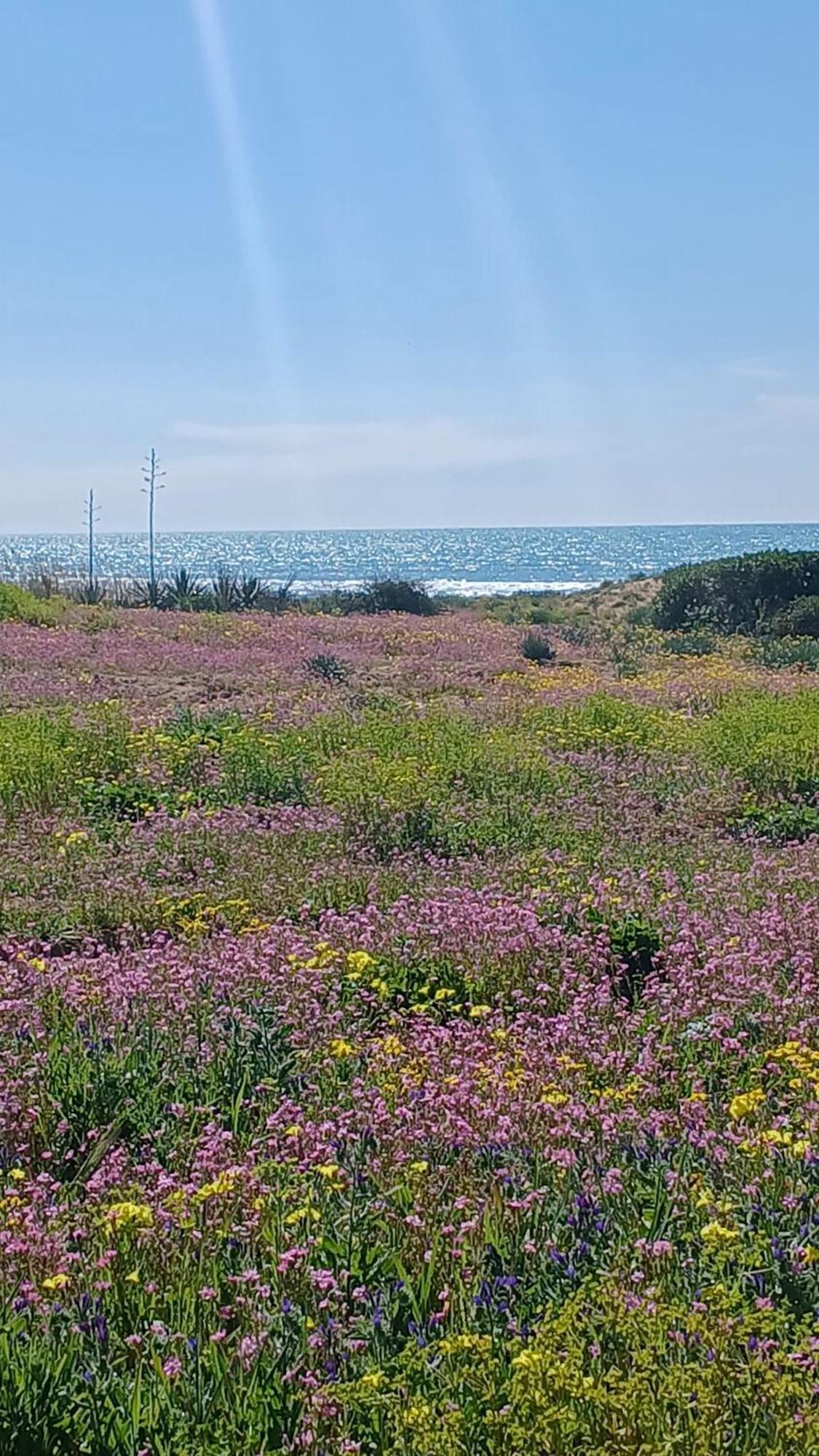 Fin Fiori Villa Menfi Luaran gambar